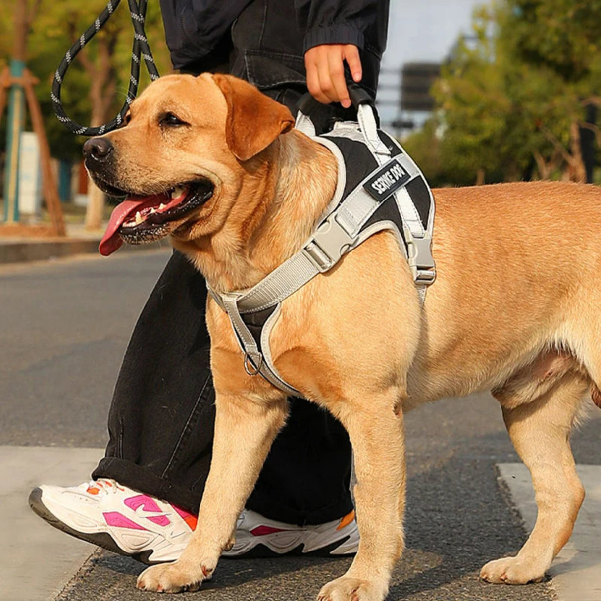 Arnés para perros Kimpets, chaleco para labrador retriever, cuerda para ropa para el pecho, reflectante, ajustable, para perros medianos y grandes, suministros para mascotas para caminar al aire libre 