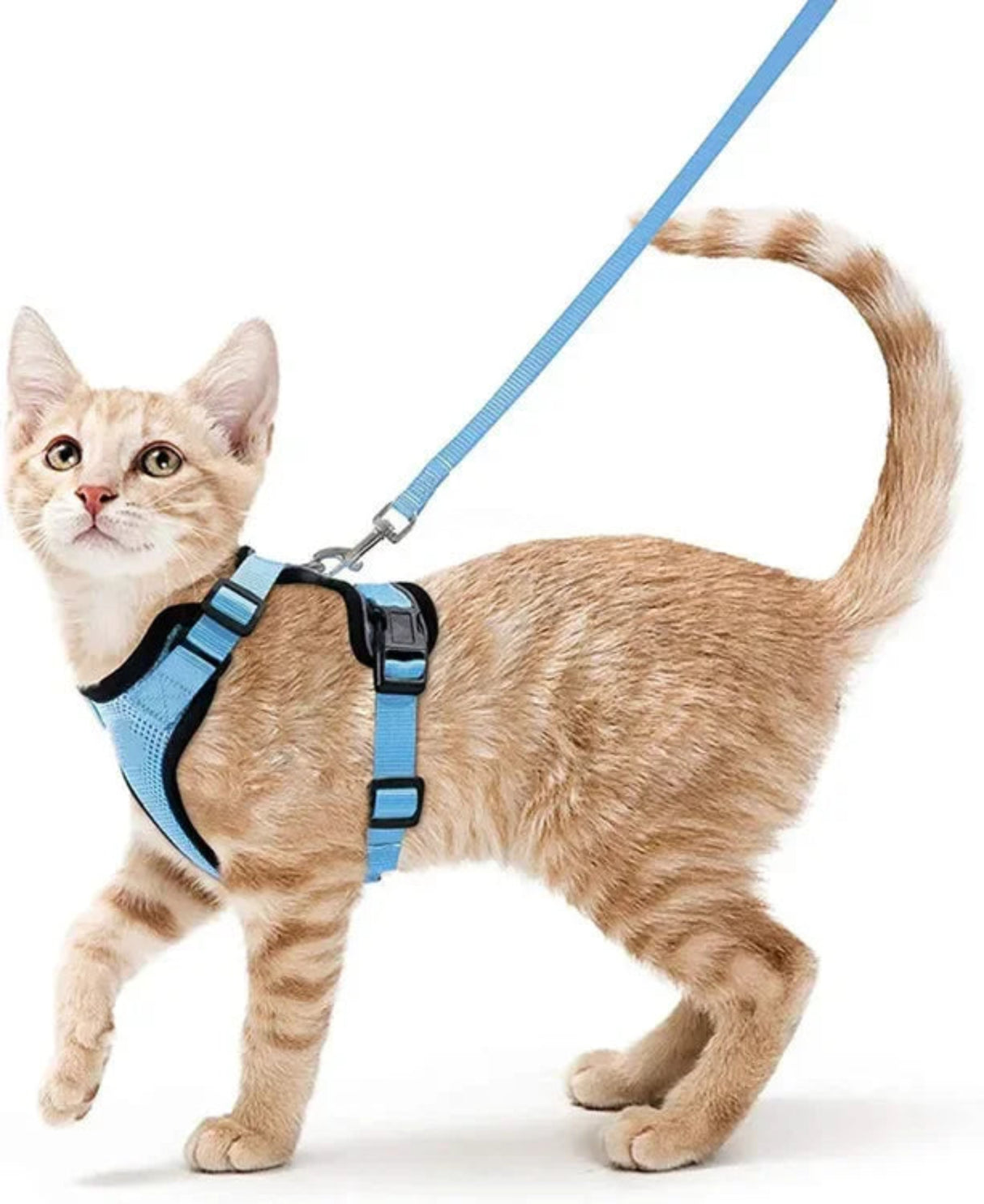 ATUBAN Cat Harness and Leash Set Stylish Escape Proof Cat Vest Harness Adjustable Breathable Pet Harness with Reflective Trim