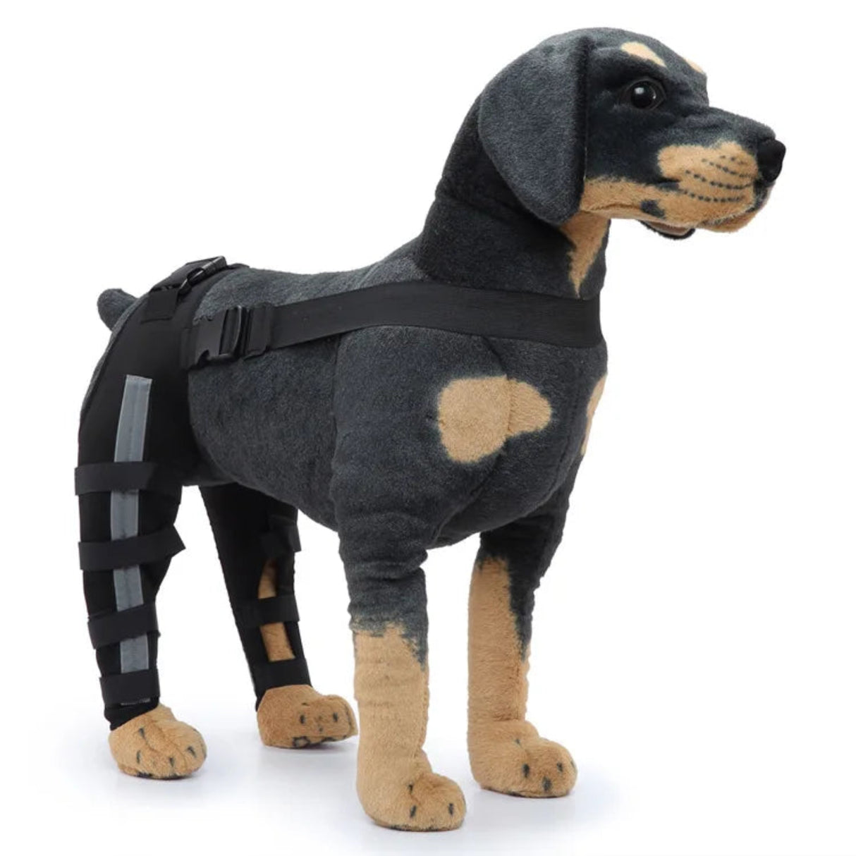 2Pcs Dog Knee Brace For Small Medium Dog Orthosis Pet Knee Pads Adjustable Hind Legs Wrap Injury Recover Protector Care Prevent