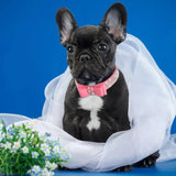 Small Medium Bling Rhinestone Suede Leather Bowknot Accessories Dog Collar Adjustable Pet Puppy Kitten Pug Necklace Collars