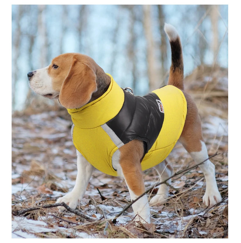 Ropa de invierno impermeable para perros, chaqueta cálida de algodón para mascotas, chaleco para perros pequeños y grandes, abrigo para cachorros de bulldog francés, disfraz de chihuahua y yorkshire