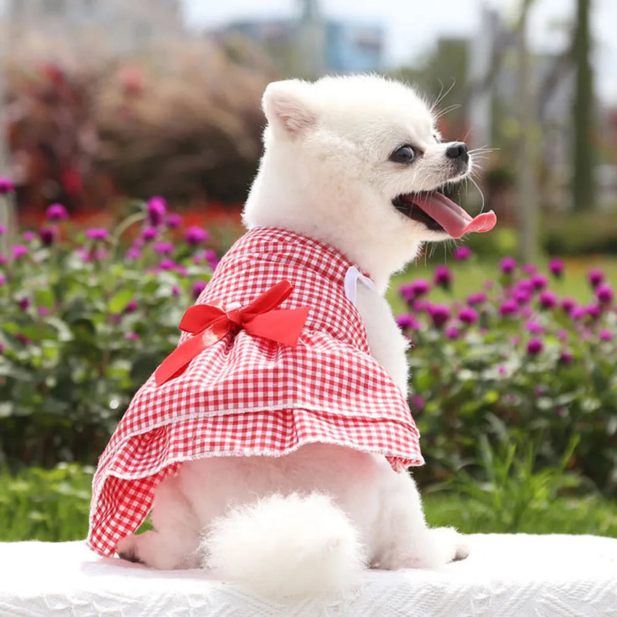 Pet Dog Clothes Puppy Vest T-shirt Shirt Cute Spring Pet Skirt Dress Roupas para cães Bottoming Shirt Dog Costume Puppy Clothes