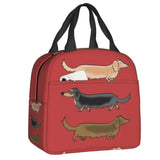 Kawaii Dachshund Dogs Insulated Lunch Tote Bag for Women Wiener Sausage Dog Portable Cooler Thermal Bento Box Work School Travel