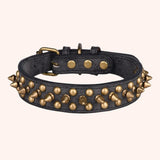 CP037-1--Vintage brass rivet heavy-duty adjustable pet dog collar, round head rivet paired with wear-resistant PU leather.