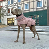 Chaleco de invierno para mascotas, chaqueta cálida para perros, ropa resistente al viento, abrigo para mascotas 