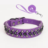 ECP037S Pet Dog Collar Durable Collar and Leashes Rivet Collar Set for Small Medium Large Dogs