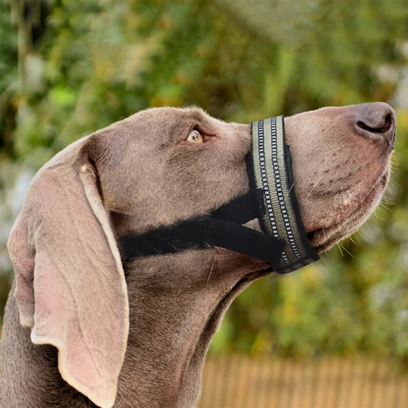 Bozales tácticos reflectantes para perros medianos y grandes, correas para entrenamiento antiladridos, cuerda guía, cubrebocas para mascotas, accesorios para perros grandes