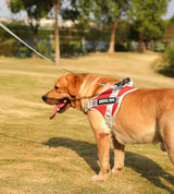 Arnés para perros Kimpets, chaleco para labrador retriever, cuerda para ropa para el pecho, reflectante, ajustable, para perros medianos y grandes, suministros para mascotas para caminar al aire libre 