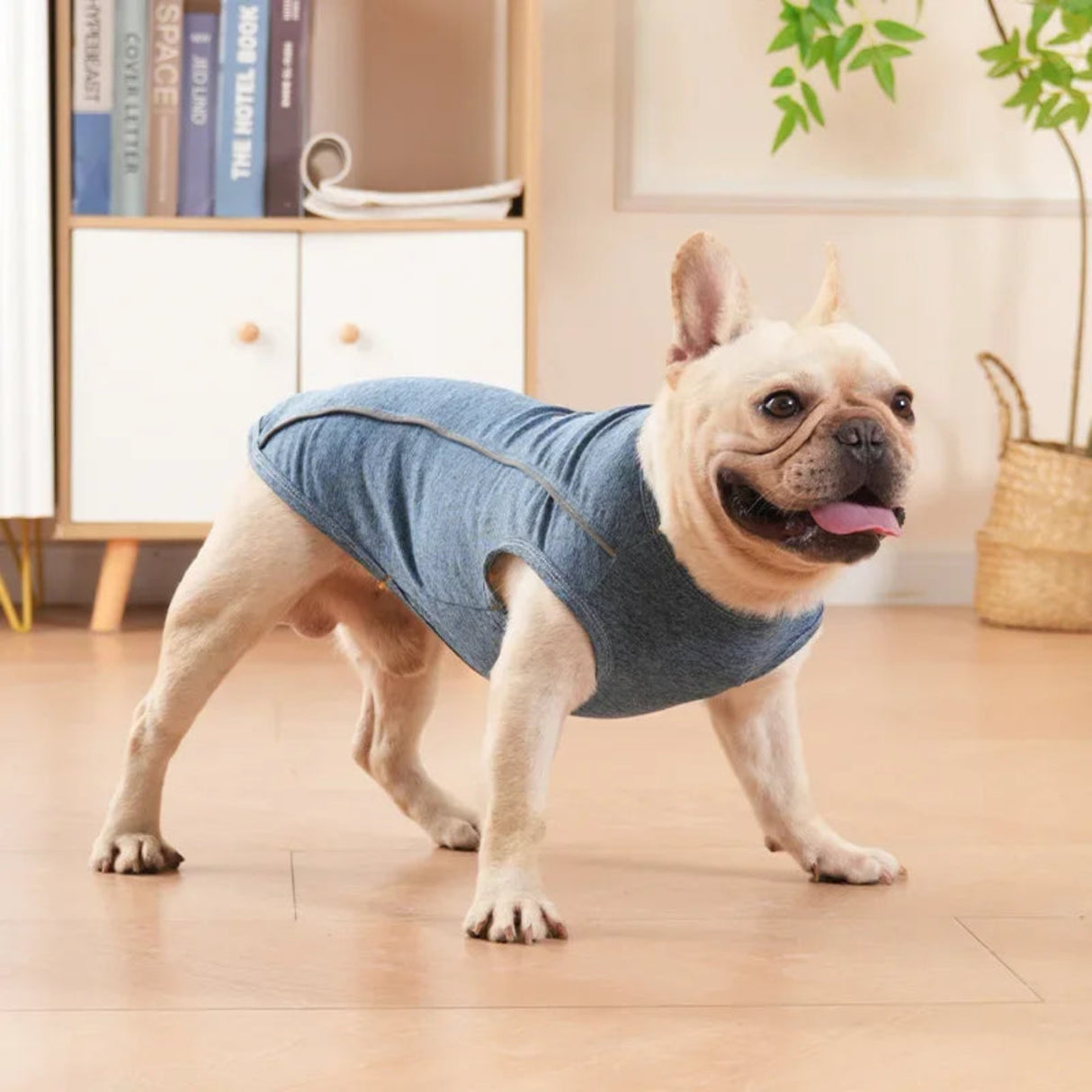 Camiseta reflectante para perros, camiseta de poliéster suave, chaleco para cachorros, ropa de primavera para perros pequeños, medianos y grandes, camiseta de bulldog francés, ropa para mascotas