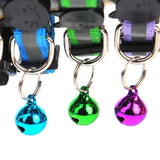 Reflective Nylon Dog Collar Night Safety Flashing Light Up Adjustable Dog Leash Pet Collar for Cats and Small Dogs Pet Supplies