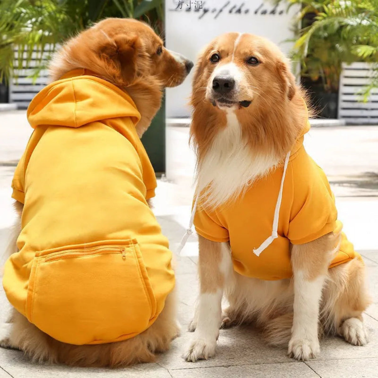 Autumn and Winter Dog Clothes dog Sport Hoodies Sweatshirts Warm Coat Clothing for Medium Large Dogs Big Dogs Pets Puppy Outfi