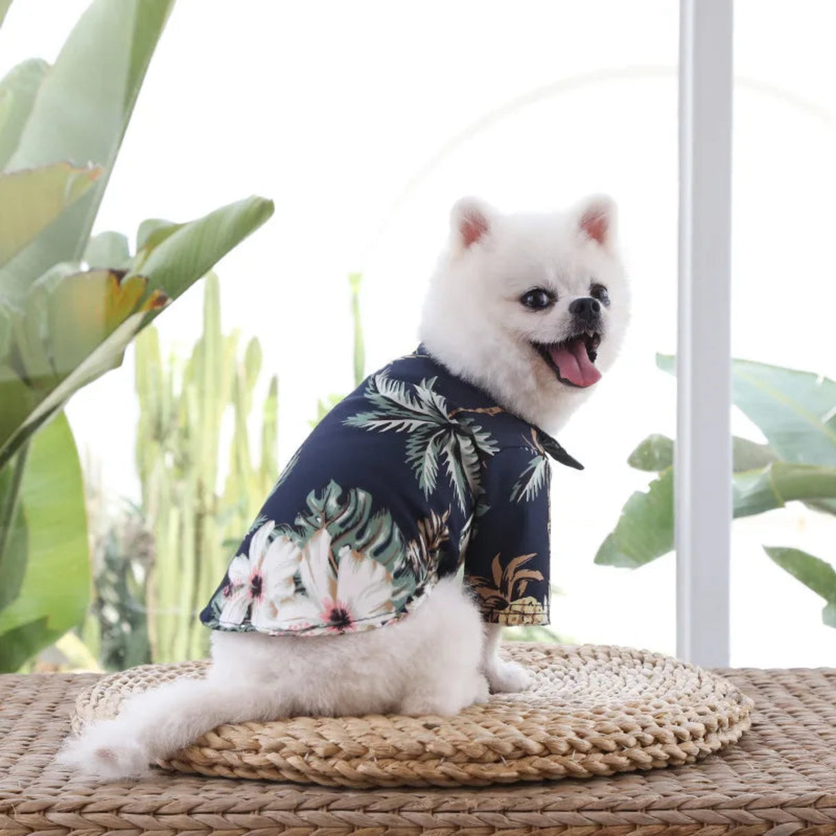 Fashion Hawaiian Beach Style Dog Shirt Summer Pet Dog Clothes Breathable Cat Thin Shirt Cute Print Puppy Vest Chihuahua Clothes