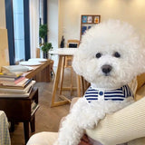 New Pet Dog Striped Sweatshirt Dog Clothes for Small Dogs Puppy Summer Clothes Soft Cat Dog Vest Bichon Chihuahua Dog Costumes