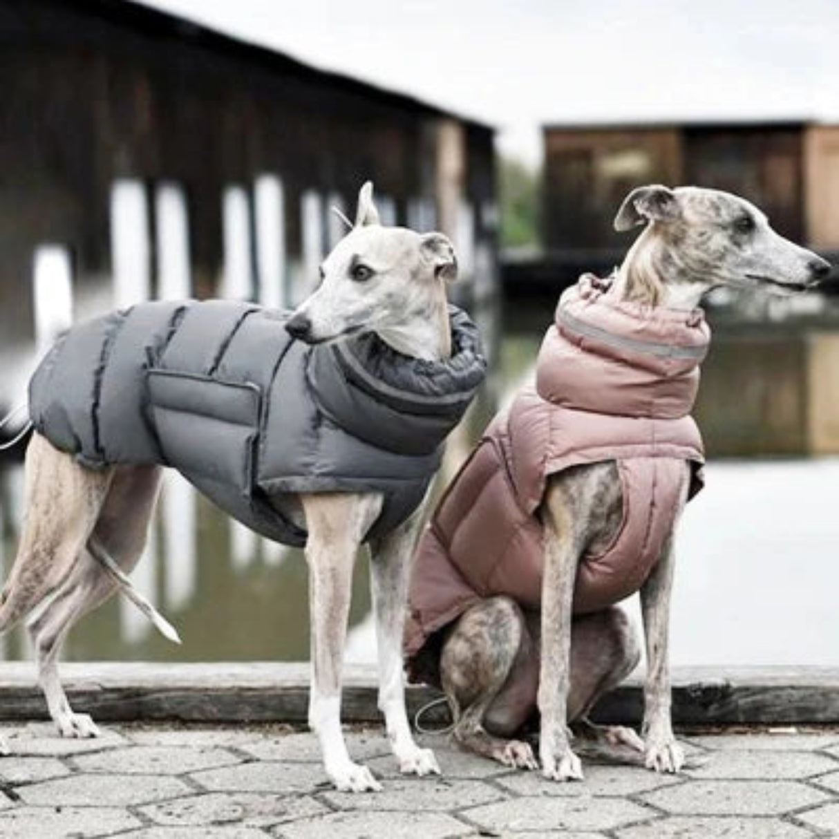 Pet Dog Jacket Vest Winter Warm Dog Down Vest Clothes Windproof For Dogs Pet Coat Outfits