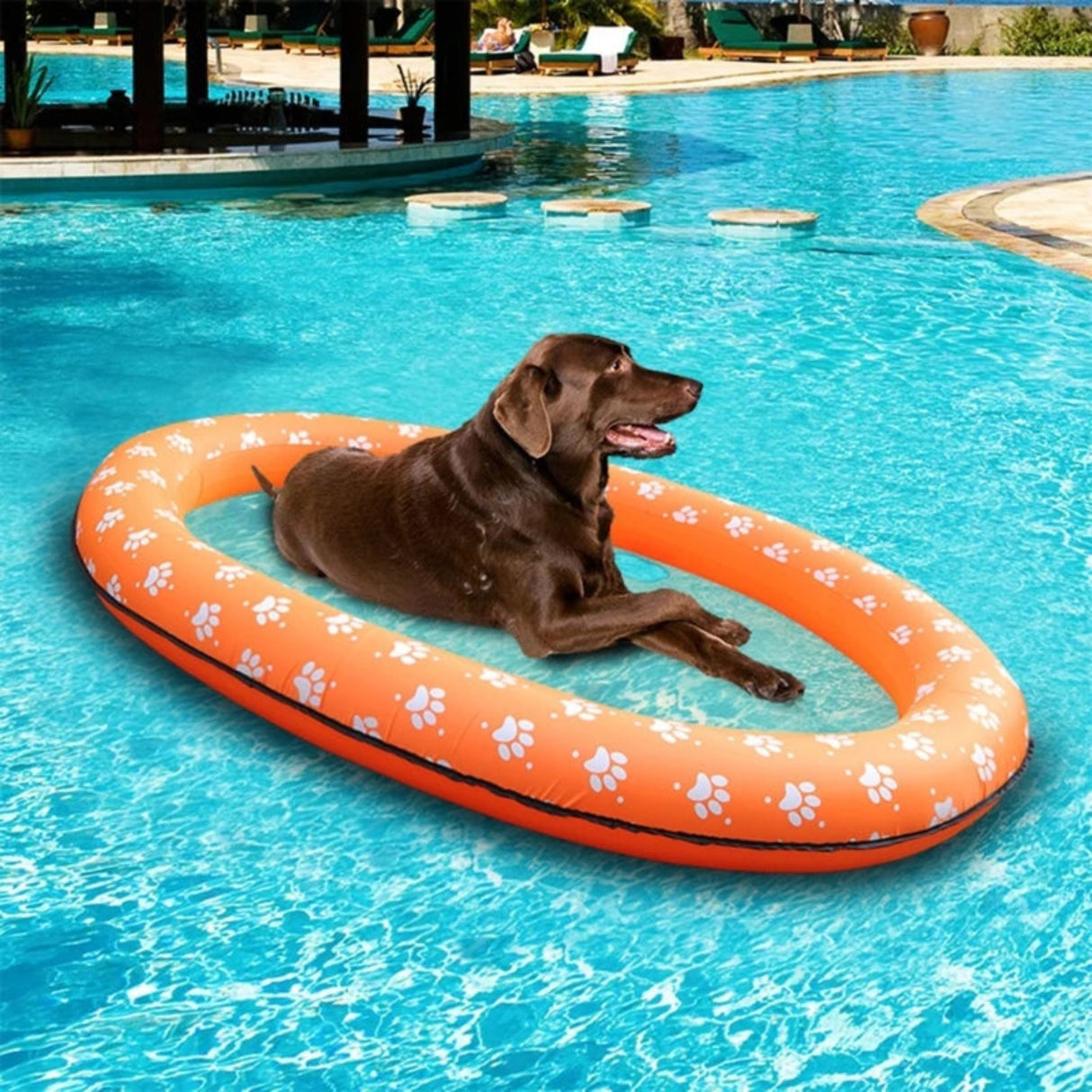 Flotador para perros para piscina inflable divertida de verano, juguete acuático, flotador para natación, dropshipping