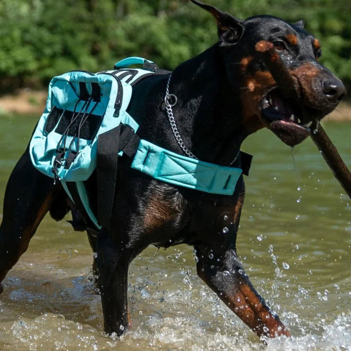 Pet Large Pocket Chest Strap Vest Reflective Dog Chain Explosion-Proof Impact Tactical Chest Strap Large Dog Chest Strap