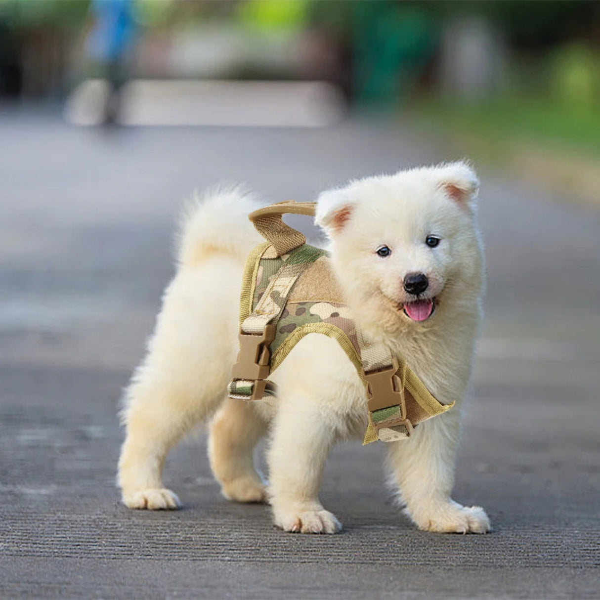 Arnés táctico para cachorros, correa para perros pequeños, gatos, chaleco ajustable para gatitos K9, para servicio militar, perros de trabajo, entrenamiento, caminatas