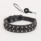 ECP037S Pet Dog Collar Durable Collar and Leashes Rivet Collar Set for Small Medium Large Dogs