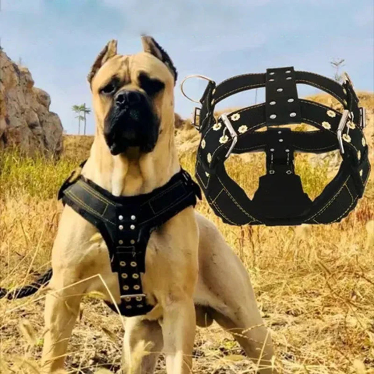 Durable Large Dog Harness Traction Rope Pit Bull Dog Muscle Training Carrying Strap Vest Adjustable Quick Control Pet Supplies