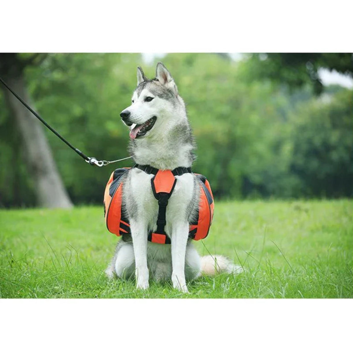 TAILUP Pet Outdoor Backpack Large Capacity Dog Adjustable Saddle Bag Luxury Dog Backpack Harness Carrier For Traveling Hiking