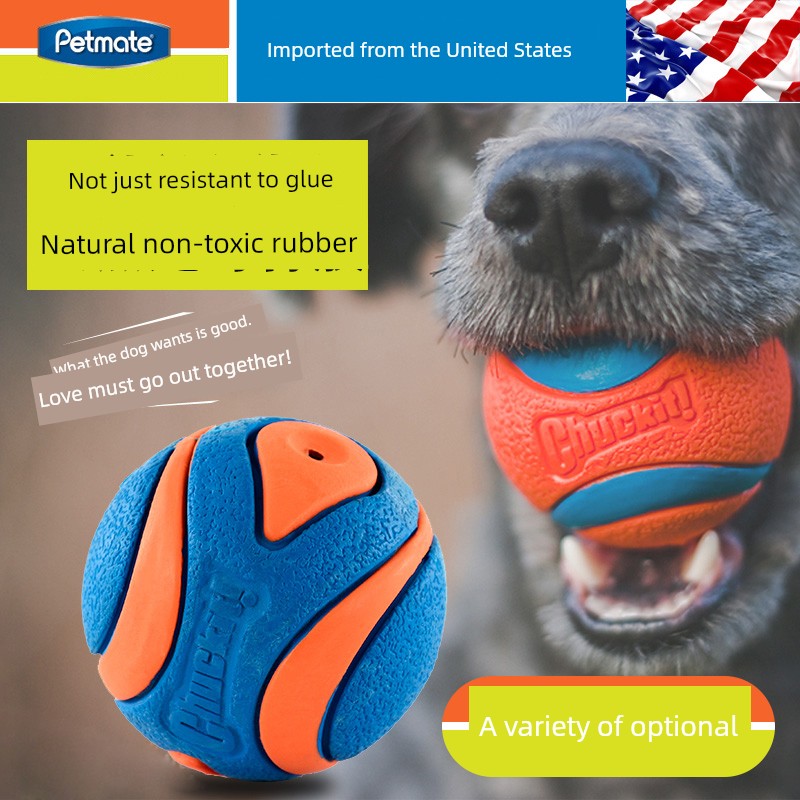 Pelota de goma interactiva para caminar con voz de Petmate para perros Border Collie