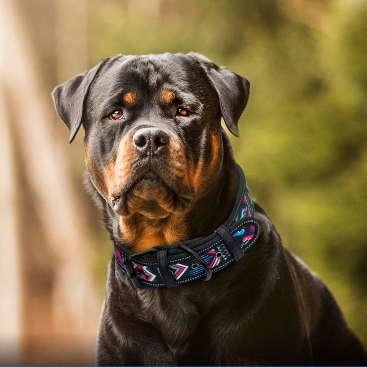 Collar reflectante para cachorros y perros grandes, ajustable, ancho, con hebilla para perros pequeños, medianos y grandes, cadena para perros pitbull y galgos 