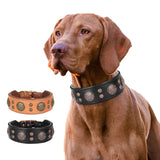 Collar de cuero genuino para perros con tachuelas y pinchos, collar ajustable para perros grandes, collar para perros medianos y grandes, bulldog francés 