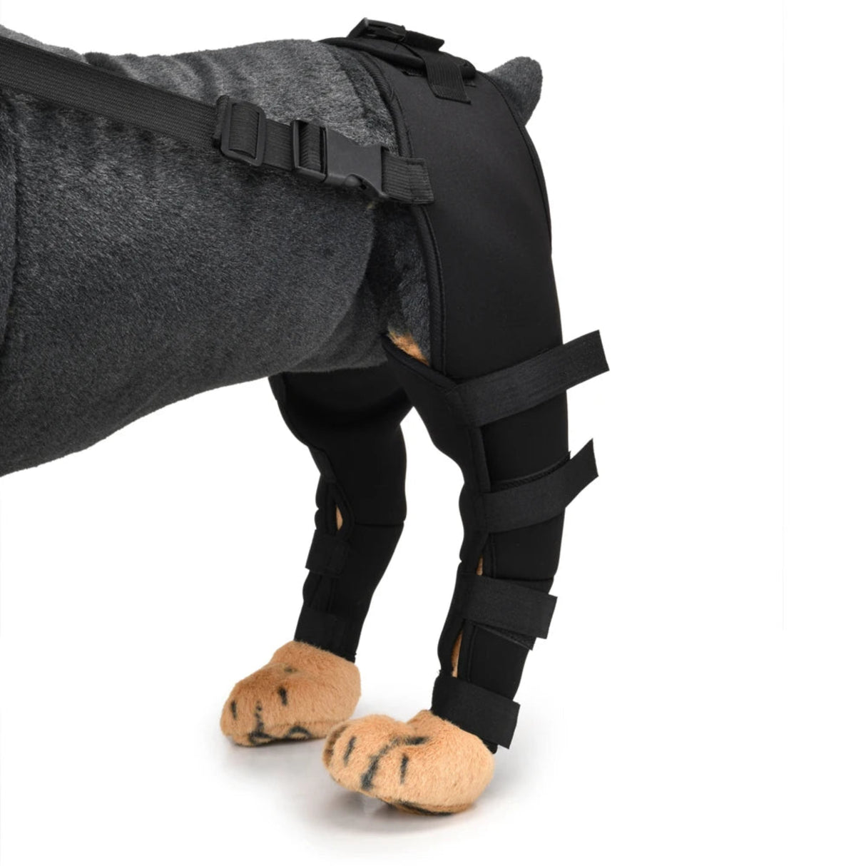 2Pcs Dog Knee Brace For Small Medium Dog Orthosis Pet Knee Pads Adjustable Hind Legs Wrap Injury Recover Protector Care Prevent