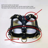 Durable Large Dog Harness Traction Rope Pit Bull Dog Muscle Training Carrying Strap Vest Adjustable Quick Control Pet Supplies