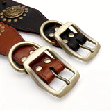 Durable Leather Spiked Dog Collar for Training and Hiking