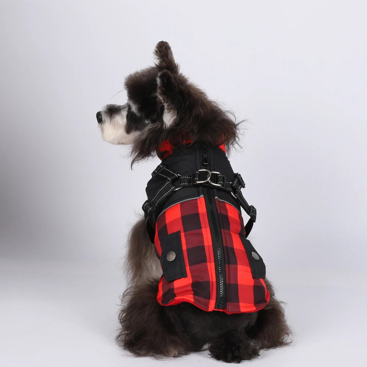 Large Pet Dog Jacket With Harness Winter Warm Dog Clothes For Small Dogs Waterproof Dog Coat Chihuahua French Bulldog Costumes