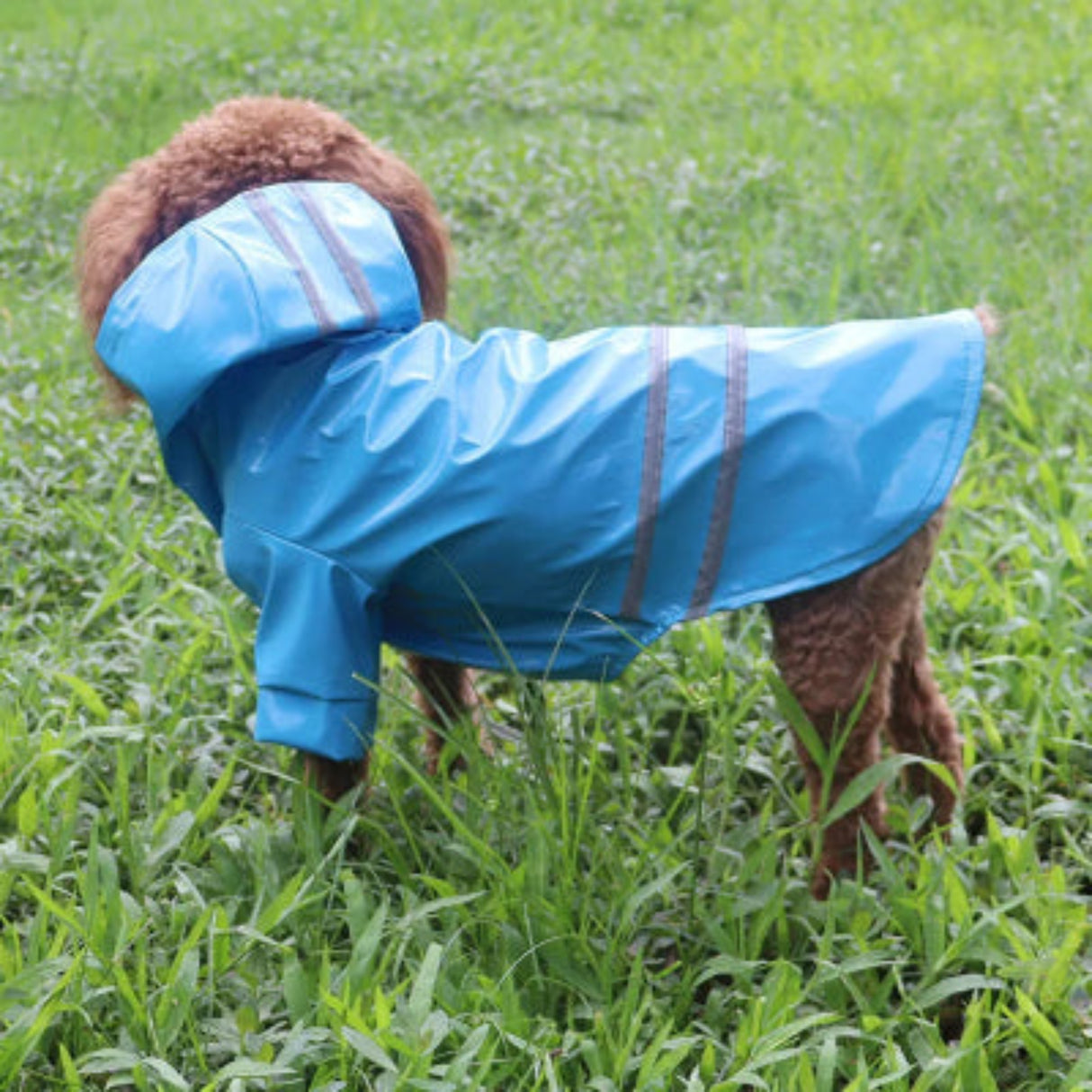 Summer Outdoor Puppy Pet Rain Coat S-XL Hoody Waterproof Jackets PU Raincoat for Dogs Apparel Clothes Little Teddy Dog Raincoat