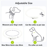 Led Light Dog Collar Detachable Glowing USB Charging Luminous Leash for Big Cat Collar Small Bright Labrador  Pets Dogs Products