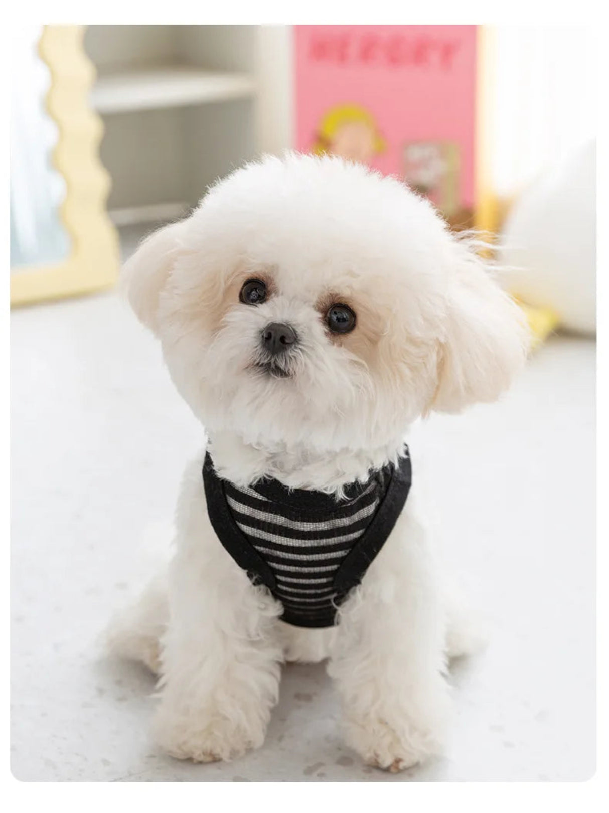 Spring and Summer Pet Feet Breathable Lightweight Hollow Striped Pulling Dog Vest Cat Teddy Dog Clothes Cooling Vest for Dogs