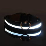 Collar para perro de nailon con luz LED de seguridad nocturna intermitente que brilla en la oscuridad Correa para perros Accesorios luminosos fluorescentes para perros