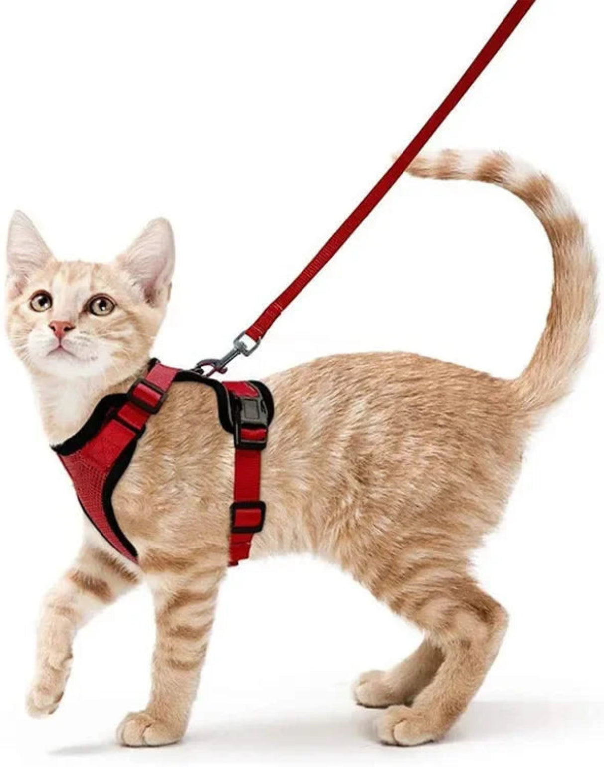 ATUBAN Cat Harness and Leash Set Stylish Escape Proof Cat Vest Harness Adjustable Breathable Pet Harness with Reflective Trim