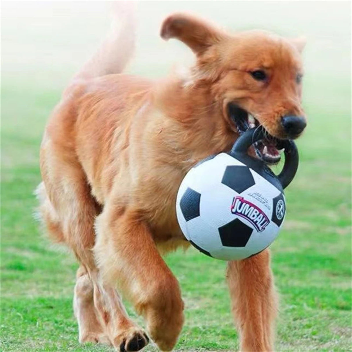 Pelota de juguete para perros, resistente a mordeduras, con mango de goma, indestructible, para entrenamiento de perros grandes y pequeños, juego interactivo 