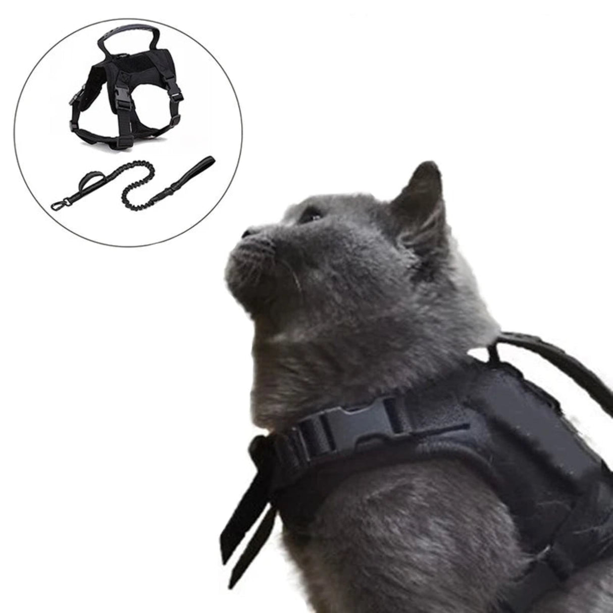 Tactical Cat Harness Vest Nylon Military Training K9 Service Adjustable Cat Puppy Harness Leash Set Small Dog Walking Lead Leash