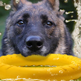 Juguetes para perros, discos voladores para mascotas, anillo de entrenamiento EVA para perros, juguetes resistentes para perros, anillo flotante para morder para cachorros, juguete interactivo 