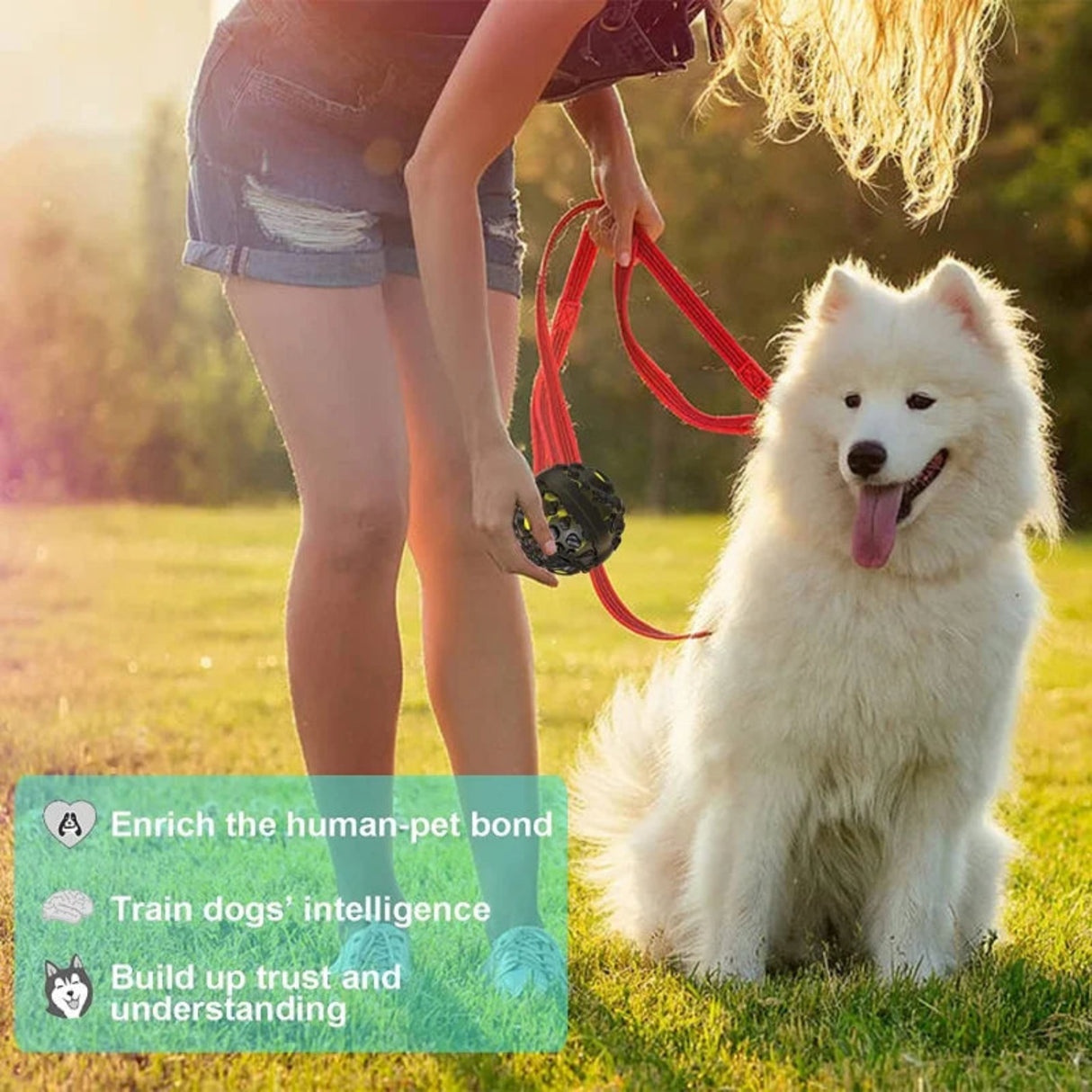 Pelota de juguete para perros, pelota interactiva para buscar, con divertido sonido chirriante y risita, duradera para perros pequeños, medianos y grandes, elástica no tóxica