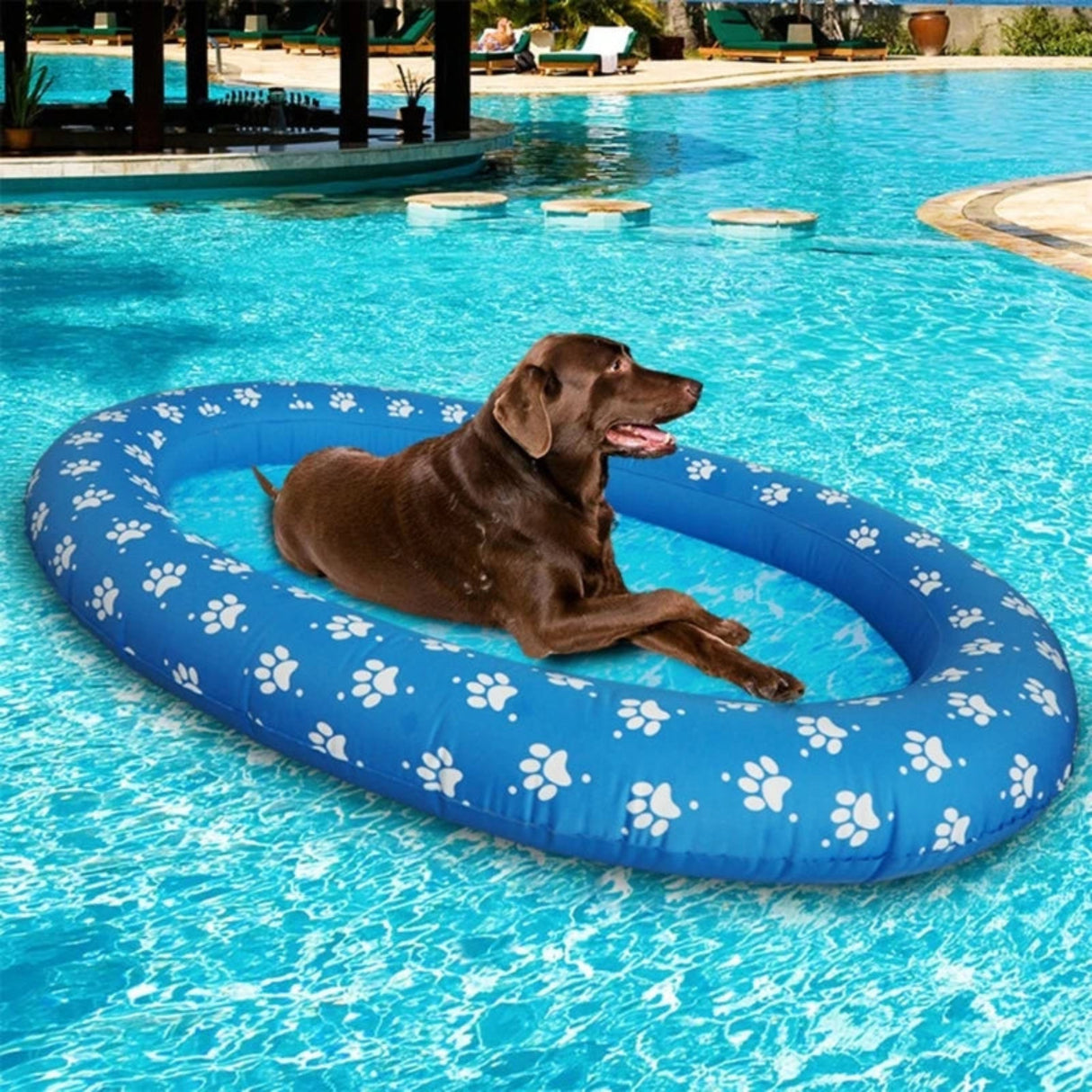 Flotador para perros para piscina inflable divertida de verano, juguete acuático, flotador para natación, dropshipping