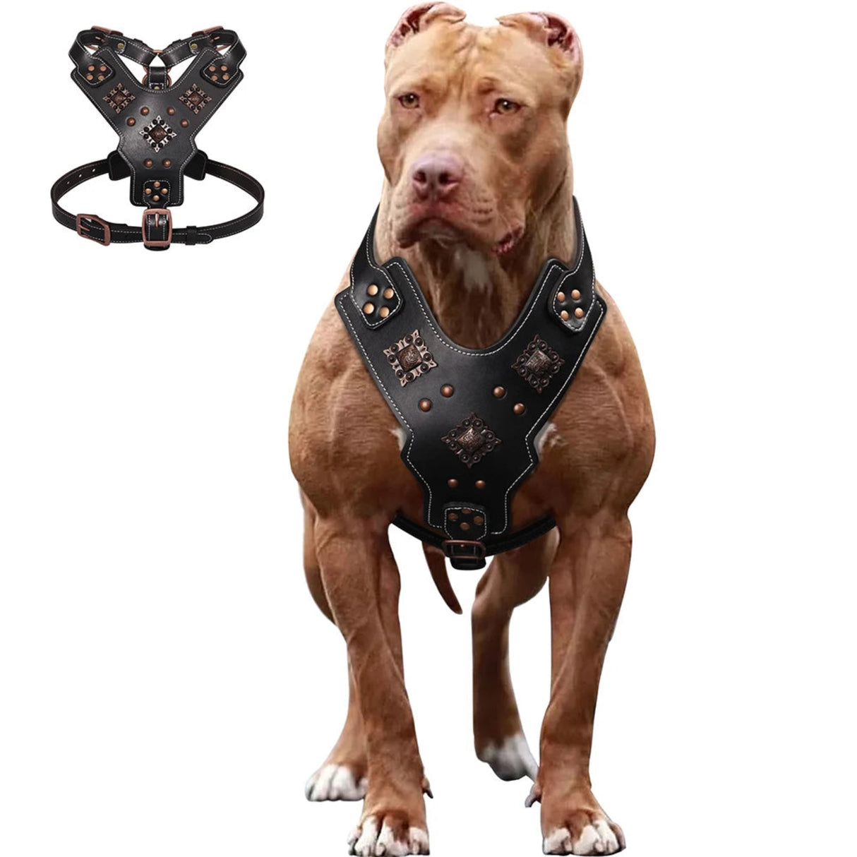 Genuine Leather Dog Harness Durable Large Dogs Harnesses Riveted Pet Training Vest With Metal Accessories For Medium Large Dogs