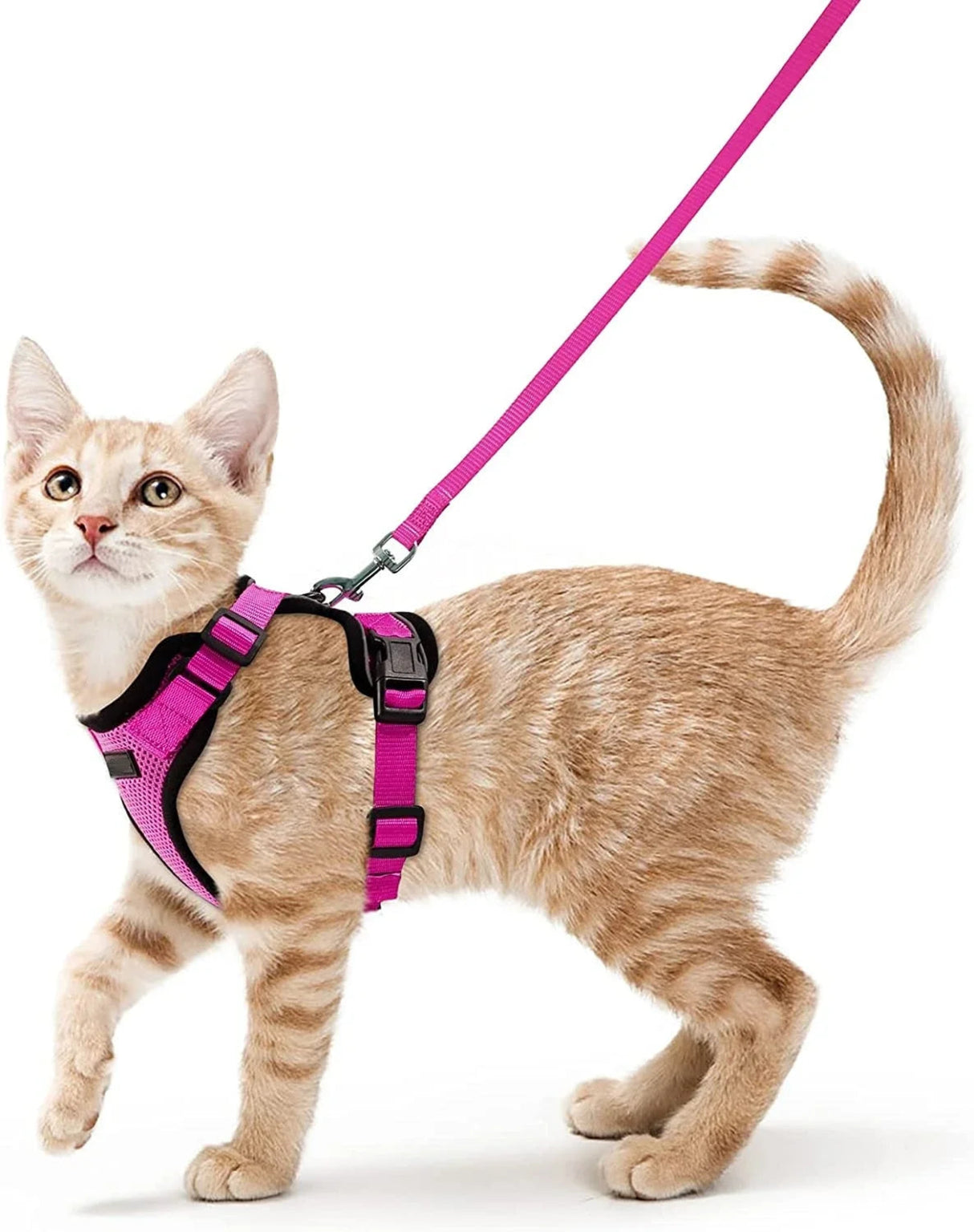 ATUBAN Cat Harness and Leash Set Stylish Escape Proof Cat Vest Harness Adjustable Breathable Pet Harness with Reflective Trim