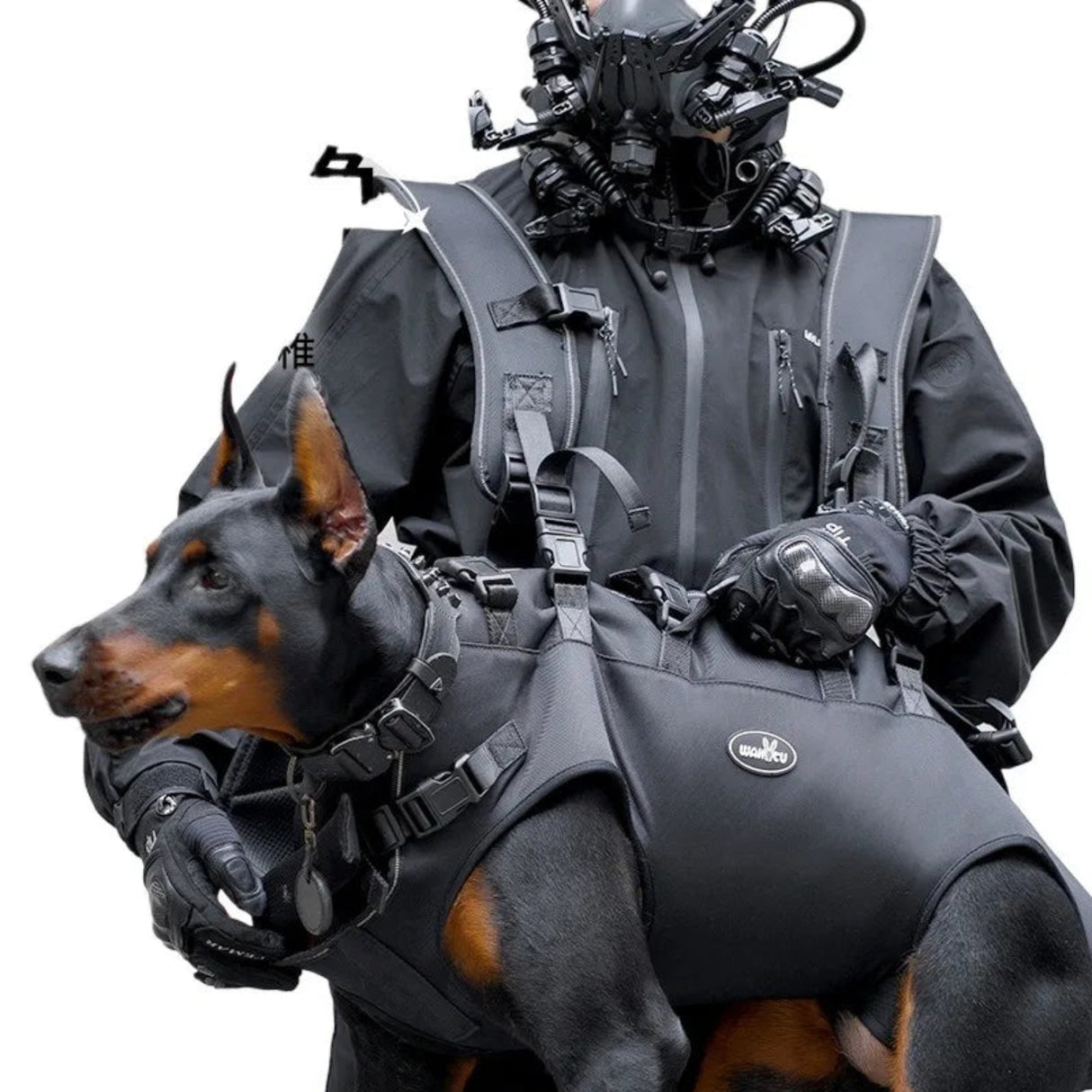 Outdoor carrier for large dogs pet carrier bag Dog carrier dog backpack carrier for Hiking & Mountaineering travel dog carrier