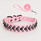 ECP037S Pet Dog Collar Durable Collar and Leashes Rivet Collar Set for Small Medium Large Dogs