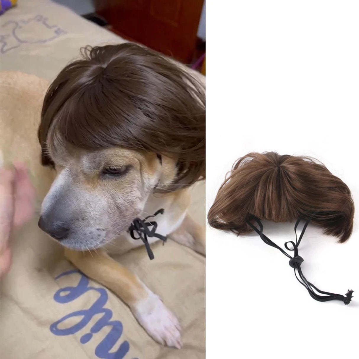 Pet Wigs Explosive Heads Clown Hair Accessories Cats Dogs Halloween Costumes Christmas Funny Pet Hair Accessories