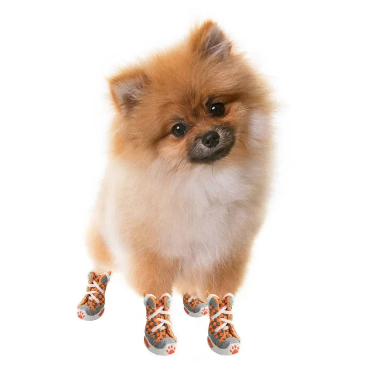 Zapatos para perros con diseño de osos de peluche, suela blanda, transpirables, anticaídas, para cachorros y perros pequeños, juego de 4 zapatos de verano para mascotas 