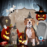 Cool Pumpkin Pet Halloween Costumes Cape Bat Adjustable Cats Cosplay Clothes Soft Black Halloween Dog Cloak Hat Dogs