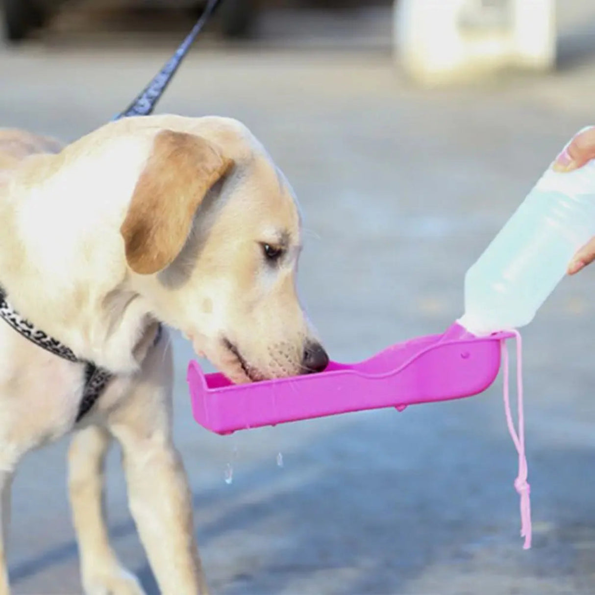 Botella de agua portátil para mascotas, taza de viaje, dispensador de comida para exteriores, tazón para beber, suministro para mascotas para perros pequeños, grandes, cachorros y gatos