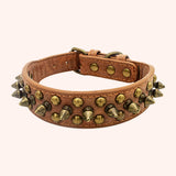 CP037-1--Vintage brass rivet heavy-duty adjustable pet dog collar, round head rivet paired with wear-resistant PU leather.